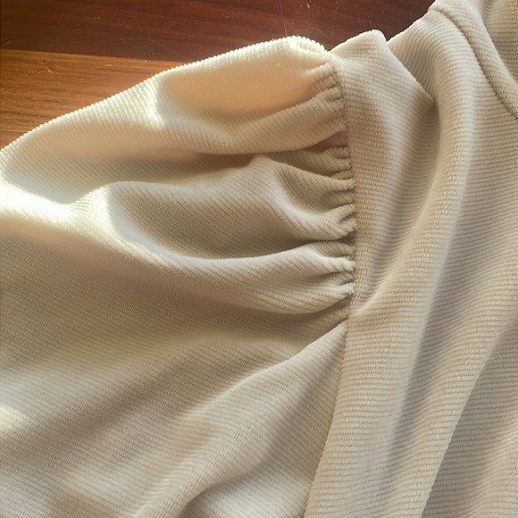 A.L.C. Ivory velour top - Picture 2 of 5